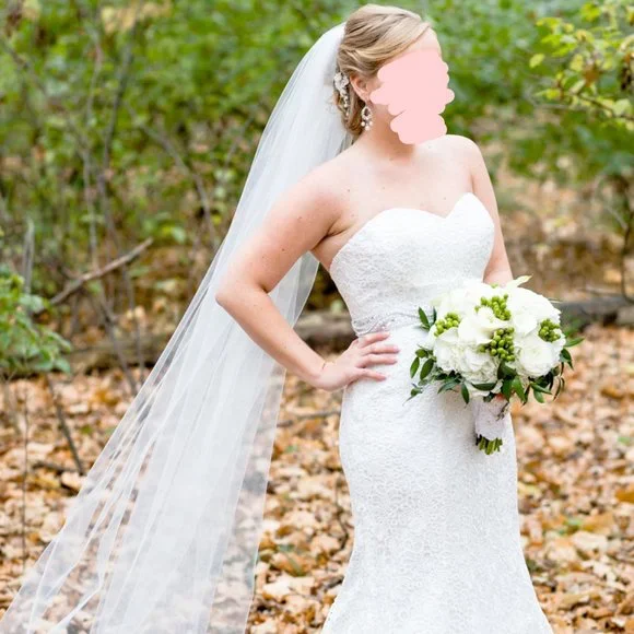 Dresses | Venise Lace Fit Flare Wedding Gown Pearl Crystal Belt Cathedral  Veil | Poshmark